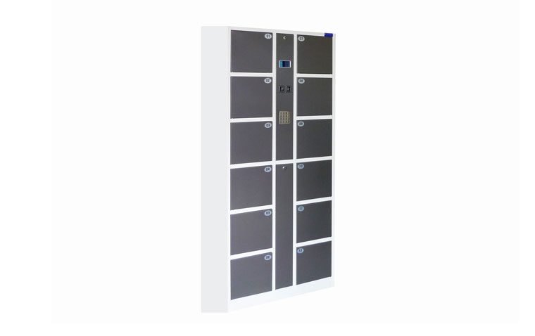 12-door-centralized-control-password-storage-cabinet